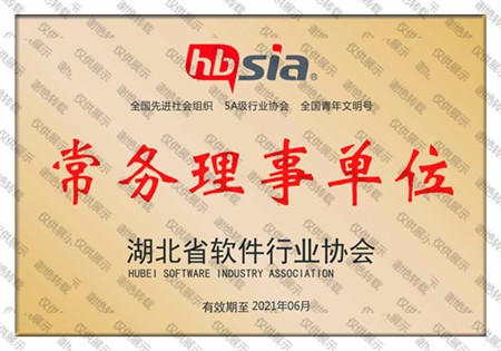 湖北省软件行业协会常务理事单位